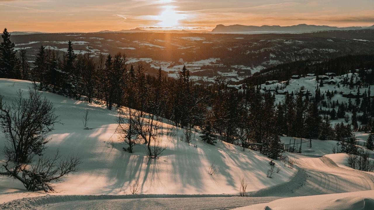 Danebu Kongsgaard - Boutique Hotel Aurdal ภายนอก รูปภาพ